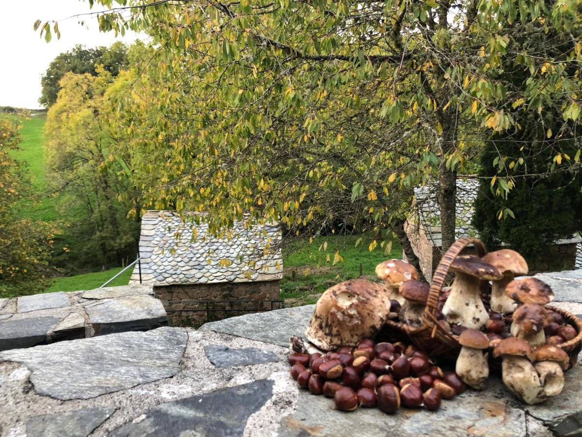 La Maison De Mon Pere Le Nayrac Exteriér fotografie